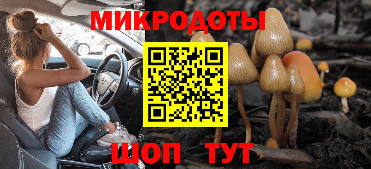 Псилоцибиновые грибы Psilocybe  цена наркотик  Озёры  Вход с VPN 